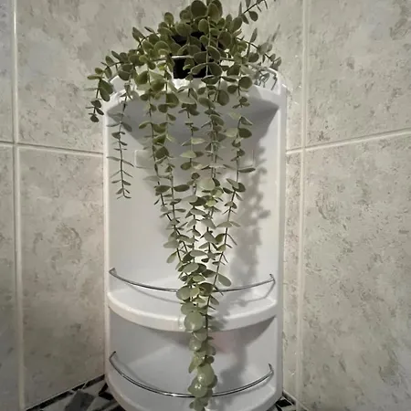 Casa De Sergude * Peso da Régua