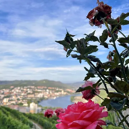 Casa De Sergude Dom wakacyjny *