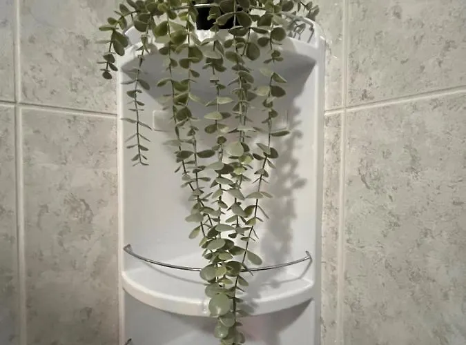 Casa De Sergude * 페소다레과