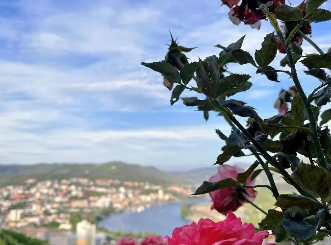 Casa De Sergude Feriehus *